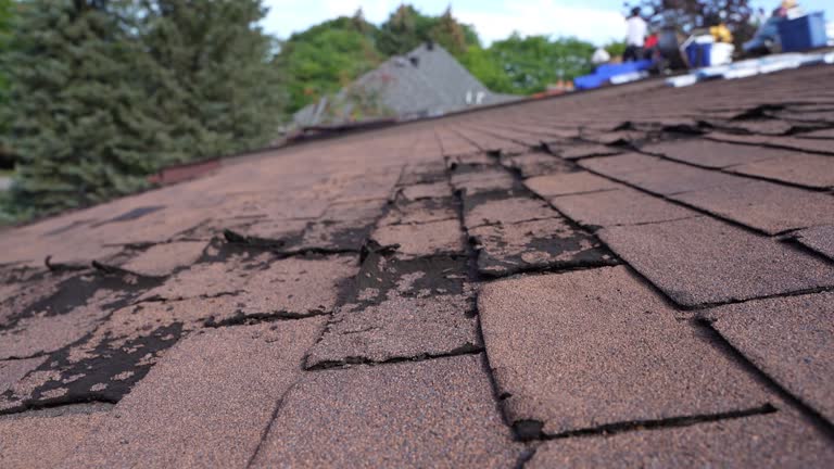 Best Roof Moss and Algae Removal  in Burlington, OH