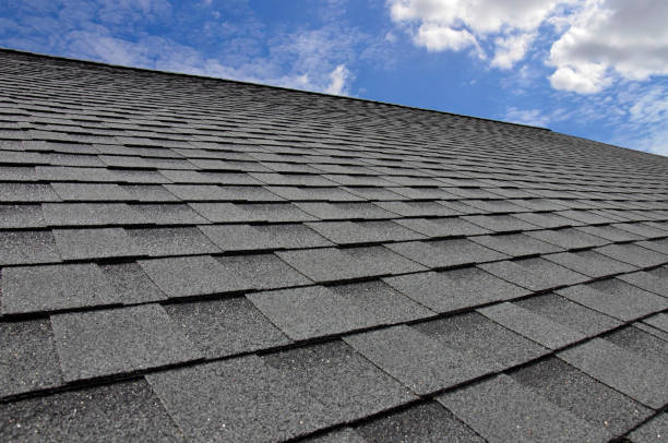 Best Skylight Installation and Repair  in Burlington, OH