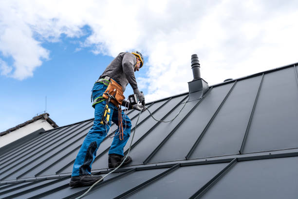Best Roof Maintenance and Cleaning  in Burlington, OH
